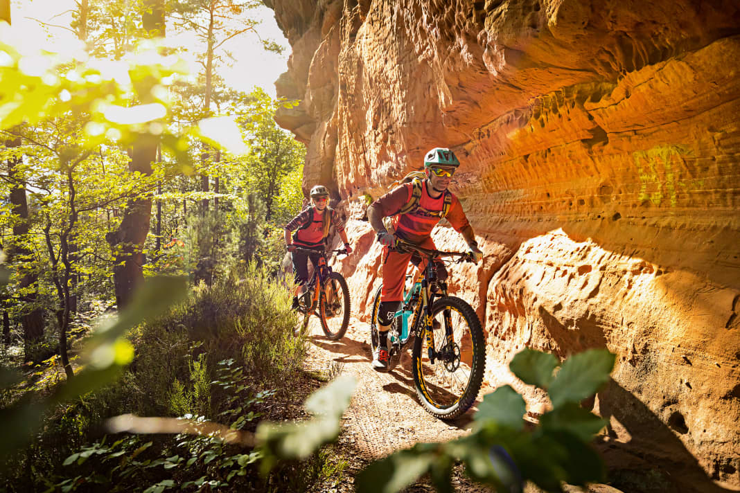 Buchtipp MountainbikeParadies Pfälzerwald BIKE