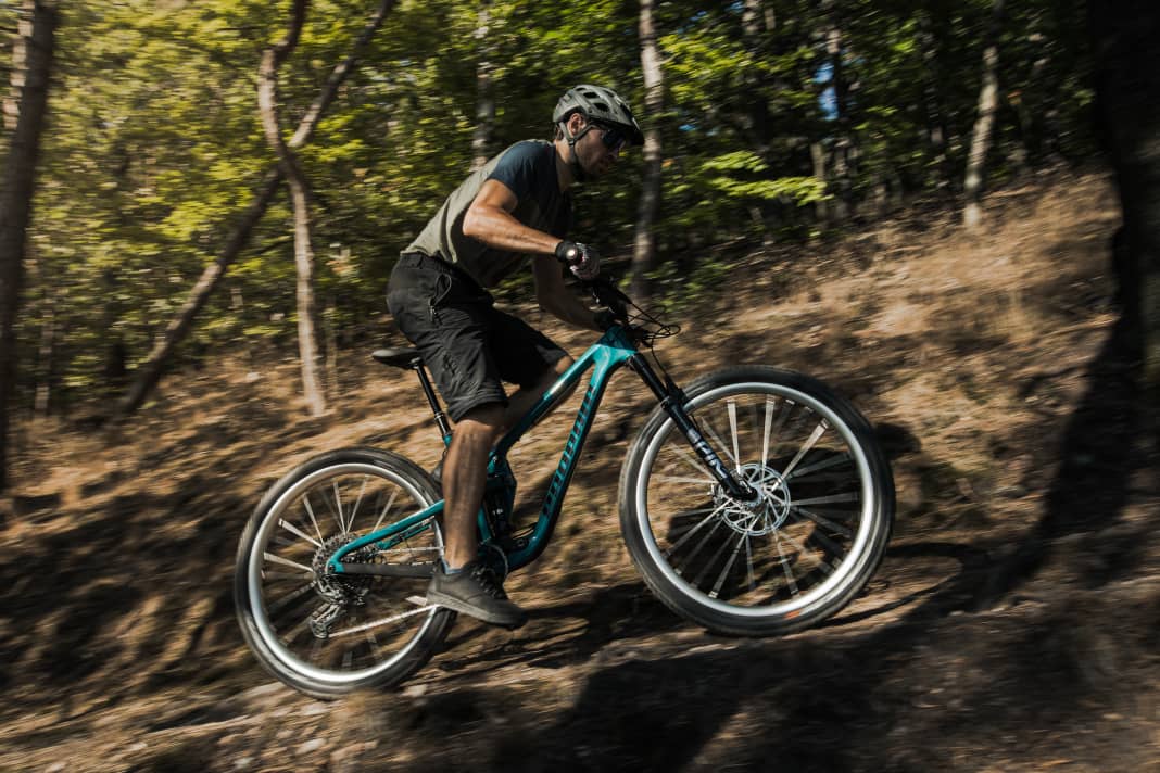 The Qvist freewheel in use