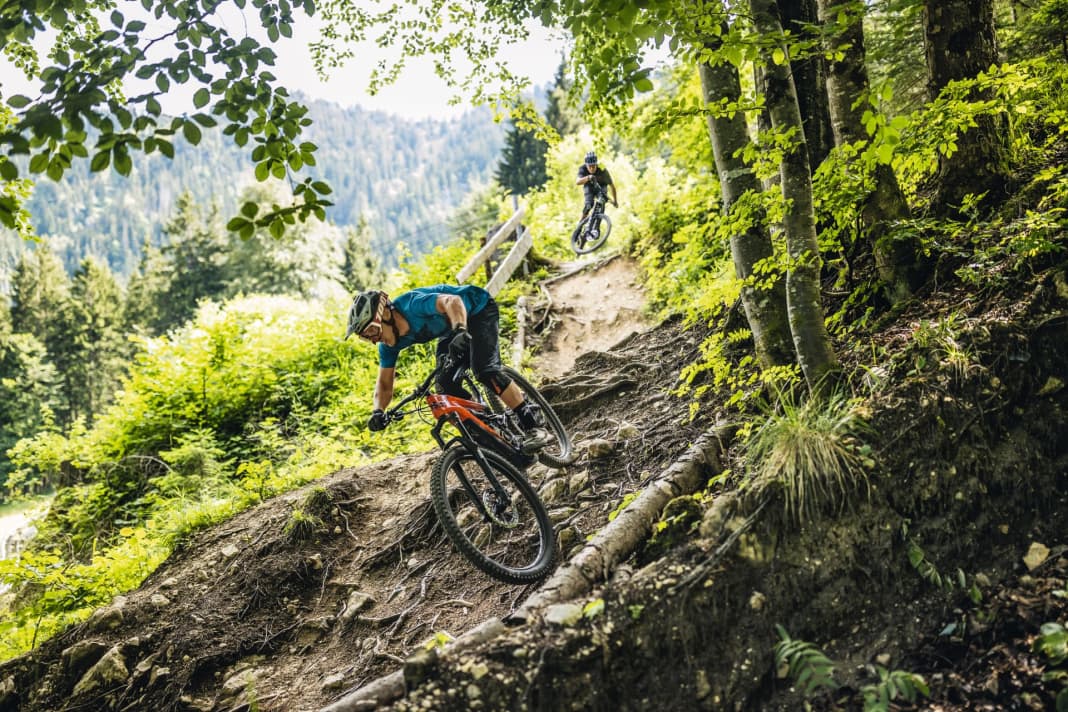 Cannondale Moterra Neo 2
