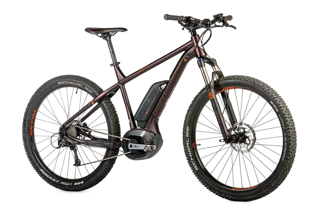 Bergamont E-Roxter 6.0 Plus