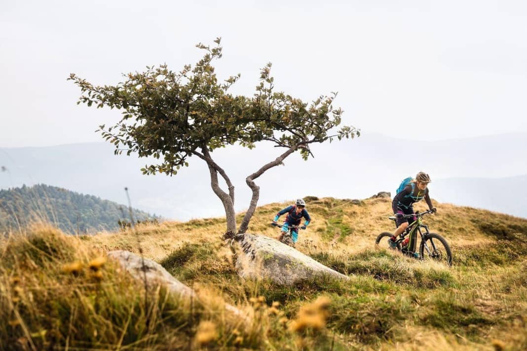 Pauline Dieffenthaler (in the foreground) and Jérôme Clementz set off on a discovery tour through their home region. They lead us through the Alsatian Vosges in three one-day stages.