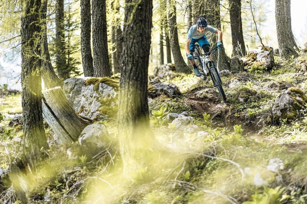 Test 2019: E-all-mountain bikes in the trail park