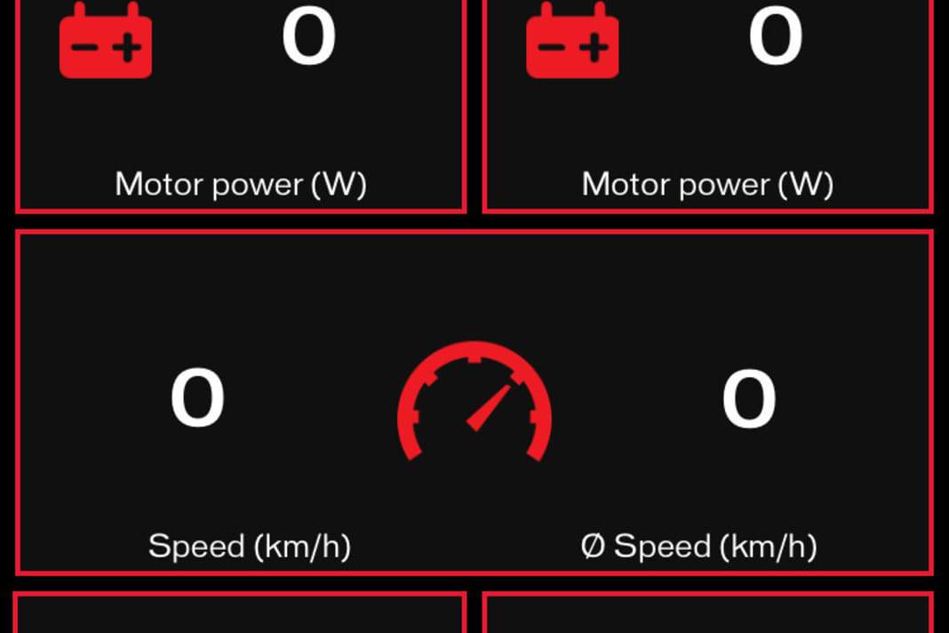 The overview displays current riding data such as speed, assistance, etc.