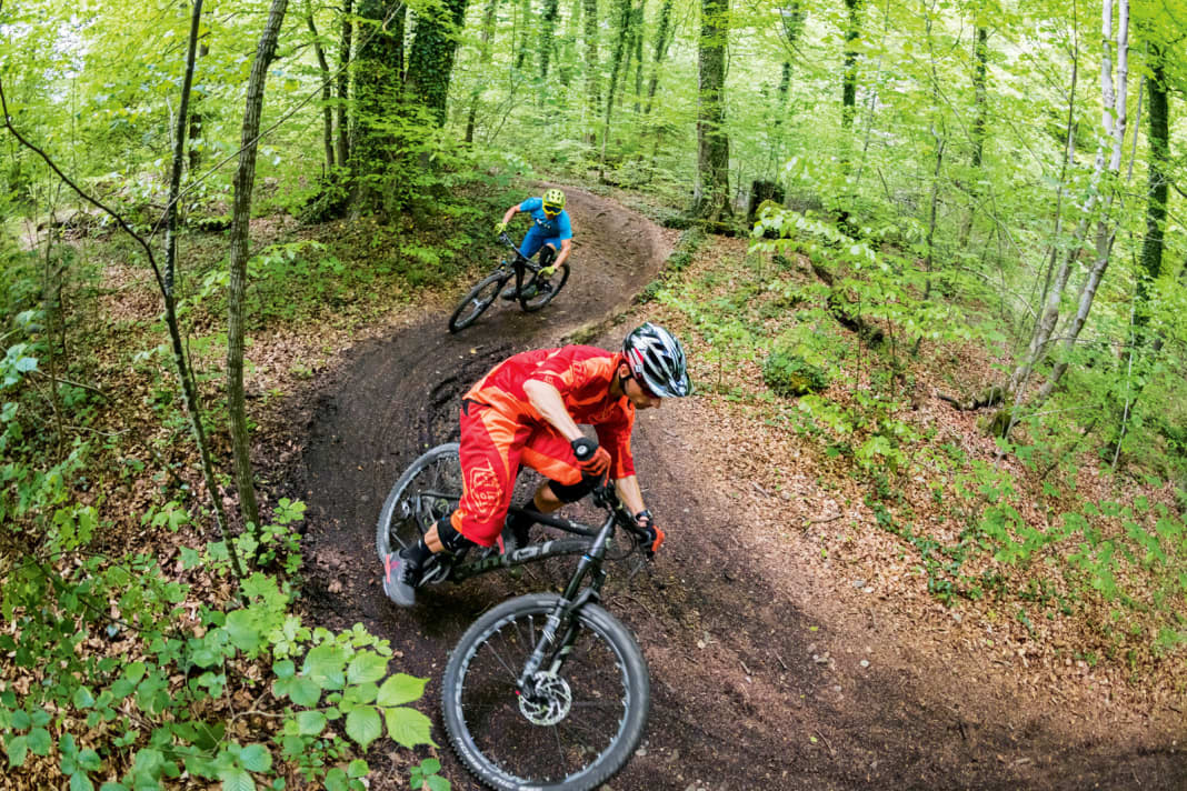 In their element: rollercoaster over soft forest soil - this is where the hard tails really have fun. But the next piece of rubbish is already lurking.