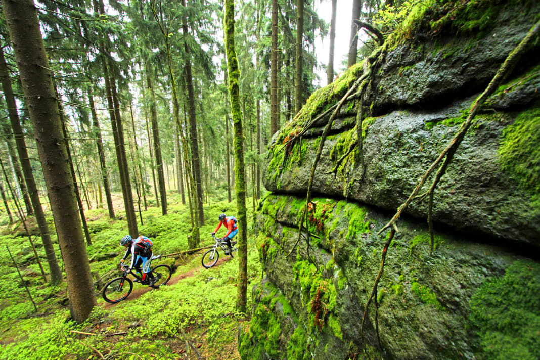 Etappe 1: Der Anstieg zur Hohen Matze zieht sich auf Singletrails durch einen idyllischen Wald.