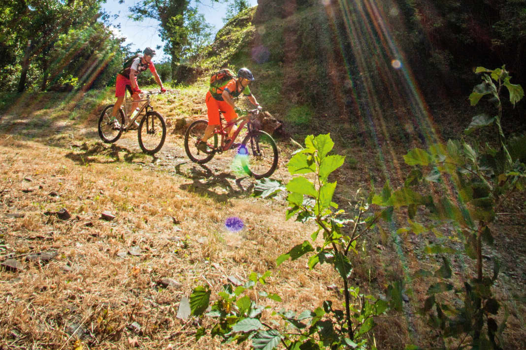 Germany: MTB area guide Westerwald