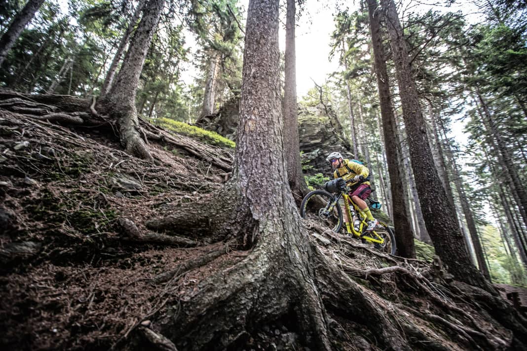 Auf Trails durch die Republik. Der zweite Teil der Deutschland-Trail-Serie führt in den Norden.