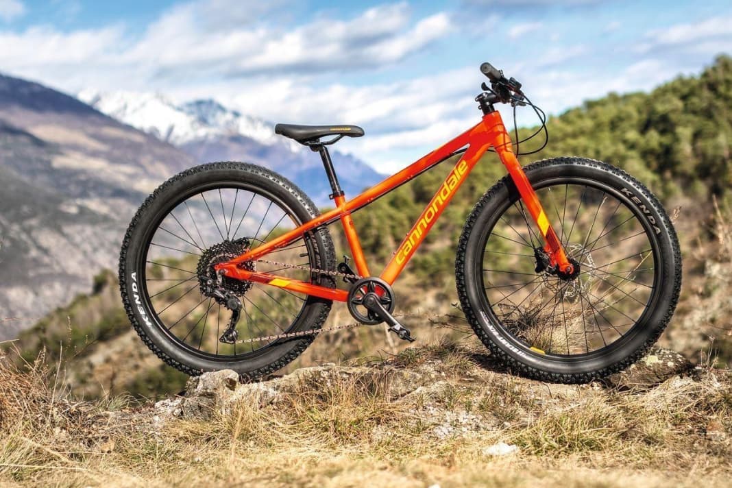 Cannondale cujo 24 ltd outlet