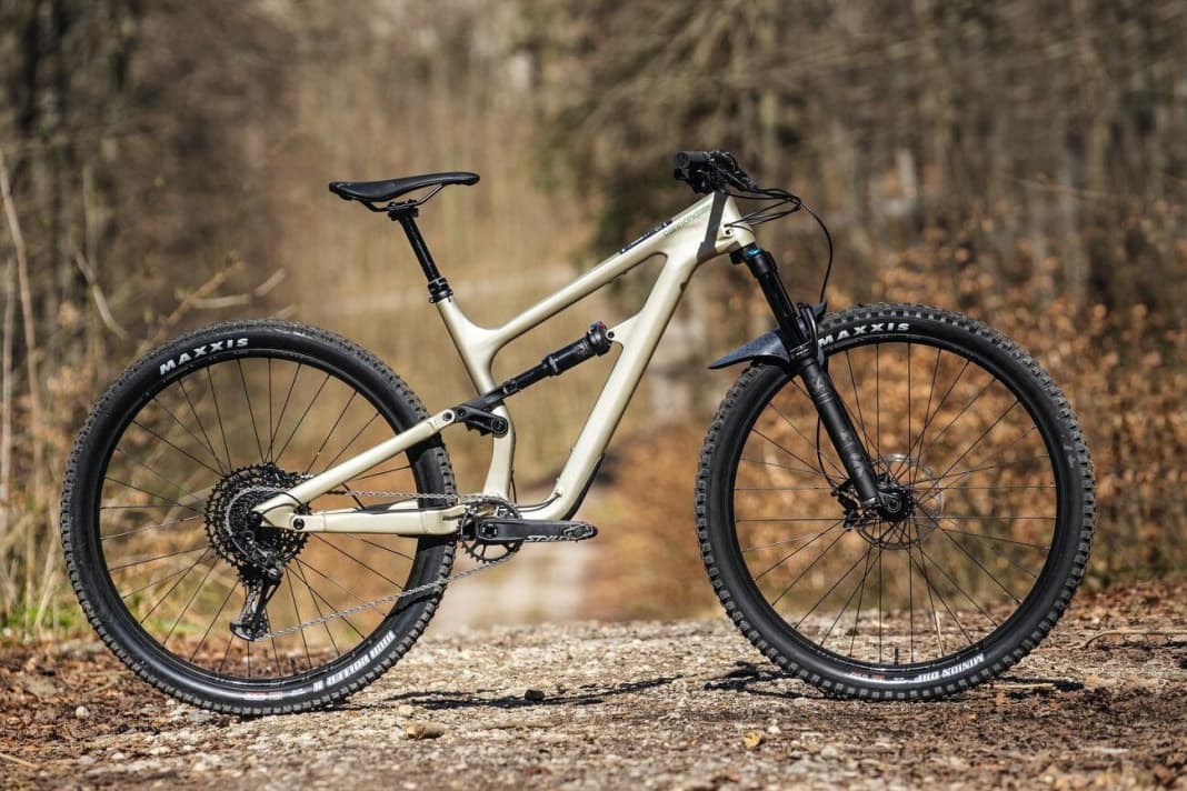 All Mountain category: Cannondale Habit Carbon 1 (14.1 kg / 141/140 mm / 29" / 3799 euros).