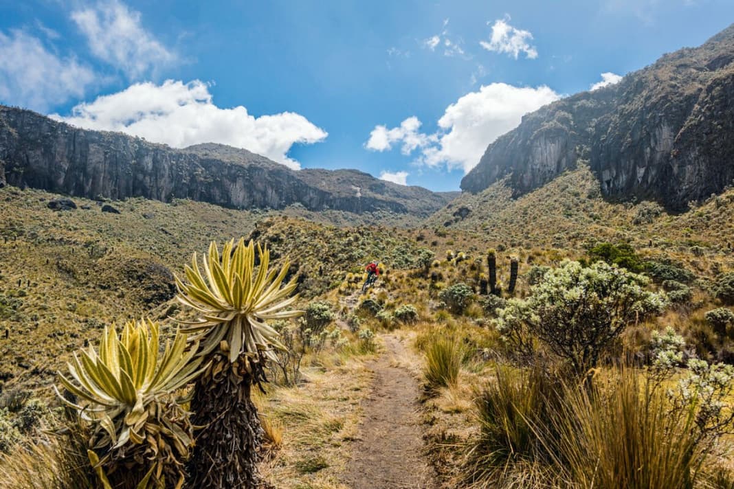 This is what the trails in Colombia look like.