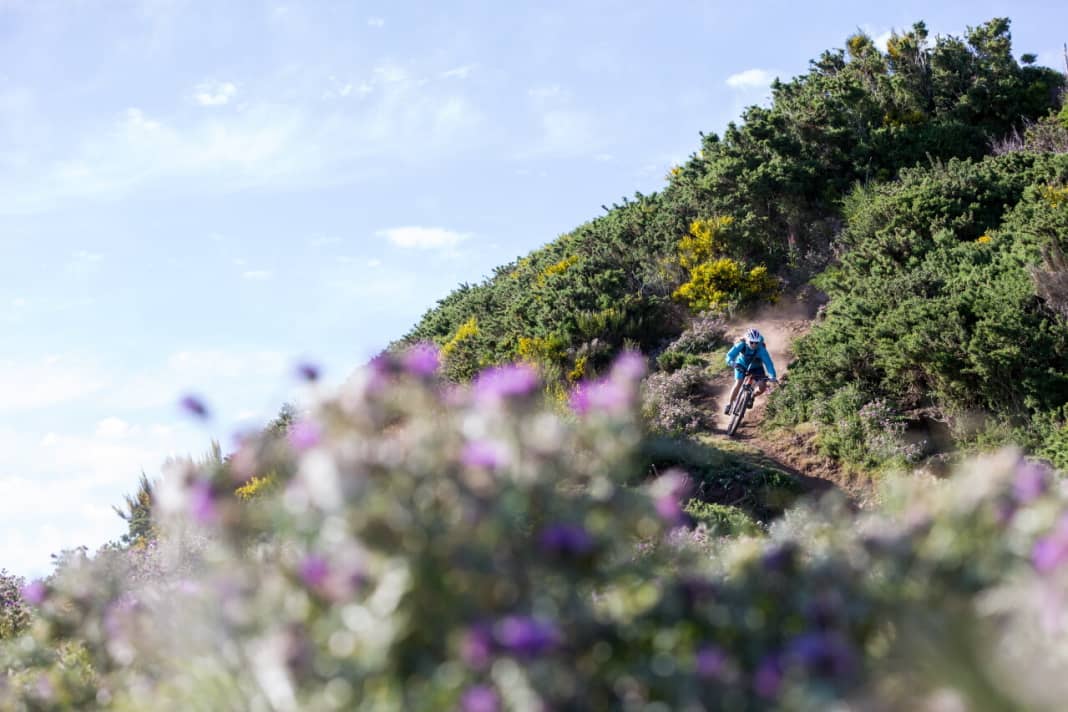 Abfahrt durchs Blumenmeer. Die Pfade sind bröselig trocken und damit immer ein bisschen rutschig.