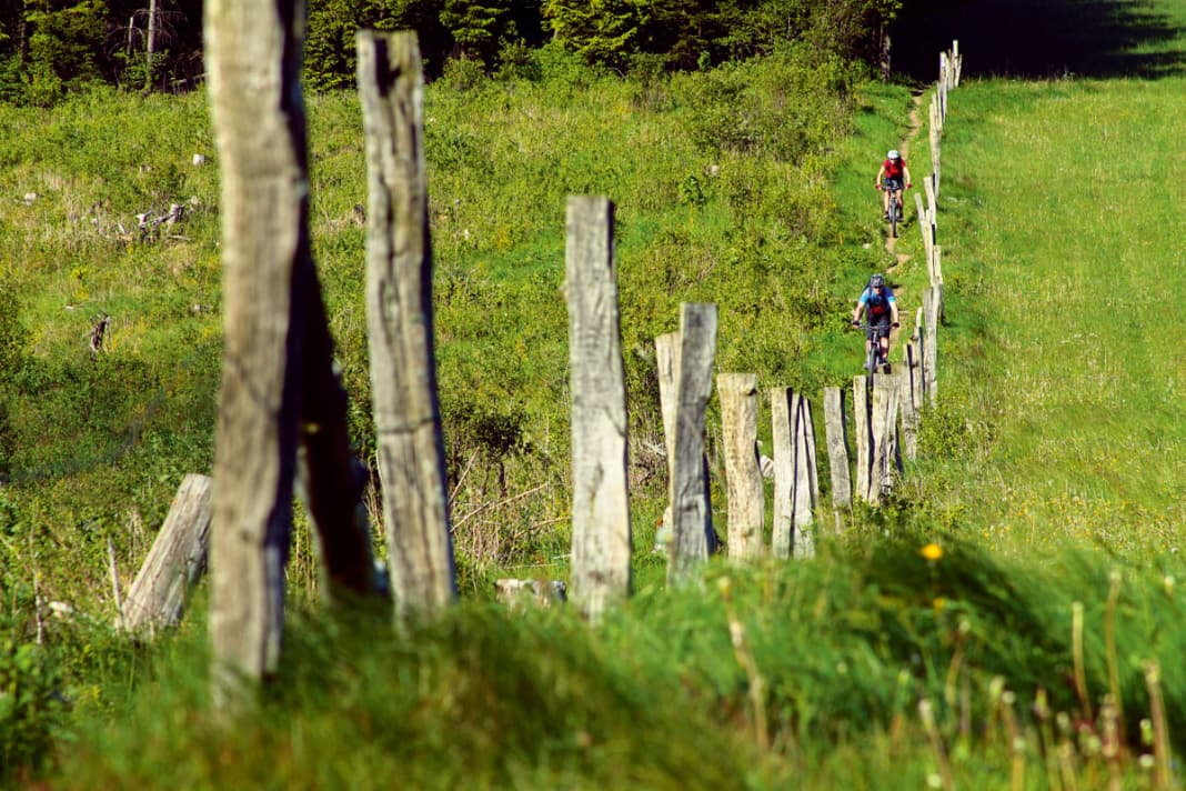 150 kilometres along the Rothaarsteig: it feels like it's all uphill.
