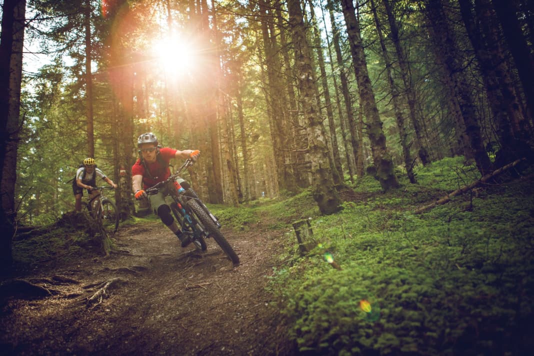 Trails such as the Family Trail offer bikers a great playground.
