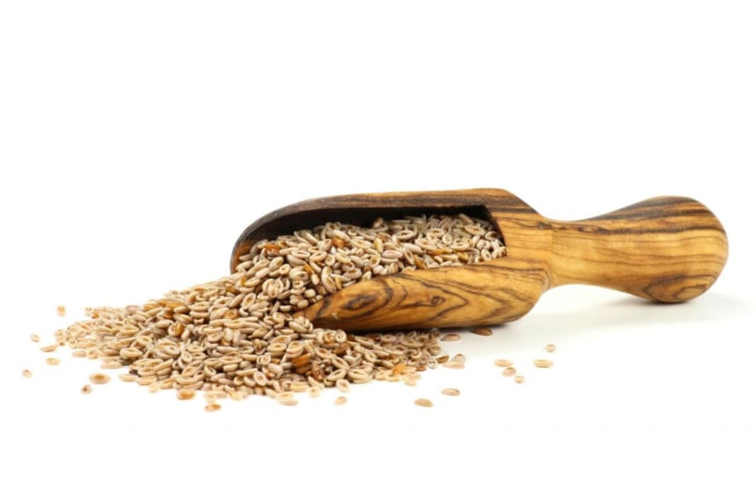 Flohsamenschalen – Ideal gegen Magenknurren: Das hohe Quellvermögen von Flohsamenschalen sorgt für ein starkes Völlegefühl und kann so im Rahmen einer Gewichtskontrolle eingesetzt werden. Flohsamen liefern mit 21 kcal pro 100 Gramm nur einen geringen Gehalt an Kalorien. Der unverdauliche Bestandteil an Ballaststoffen liegt bei 83,69 Gramm pro 100 Gramm. Etwa 10–20 Gramm sollten Sie täglich einnehmen. Wie einnehmen? 10 Gramm Samen mit mindestens 200 ml Wasser mischen und zum Beispiel unters Müsli oder in den Quark rühren.