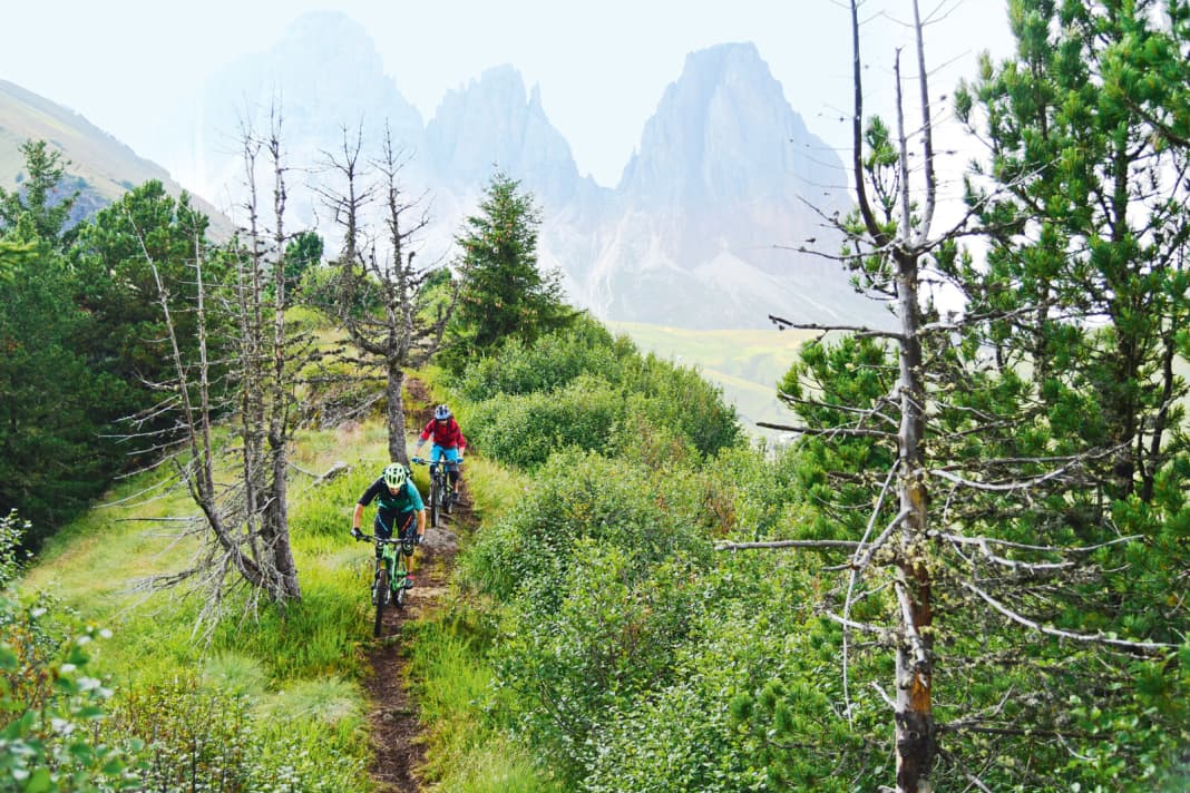 Seek and ye shall find: There are plenty of single trails in the Val di Fiemme and Val di Fassa valleys. However, you need good riding technique to enjoy them.