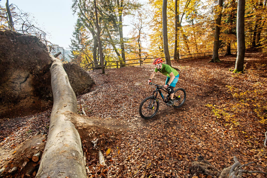 Approach Start in the basic position and with sufficient speed. Bend your legs and arms before the jump.