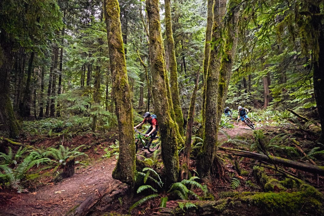Northshore in Canada: Epic mountain bike trails