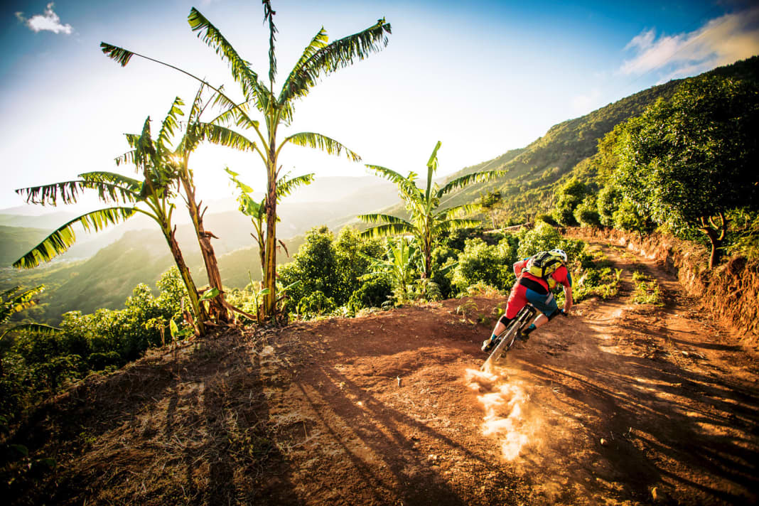 PAULOS SCHATZ: Costa Rica - Trails between coffee and banana trees