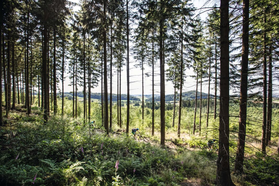 In the Sauerland region, over 1000 peaks are waiting to be conquered by bikers. And a network of 600 kilometres of trails is soon to be woven around Willingen, Winterberg and Brilon. This could turn Upland into a Mecca for mountain bikers.