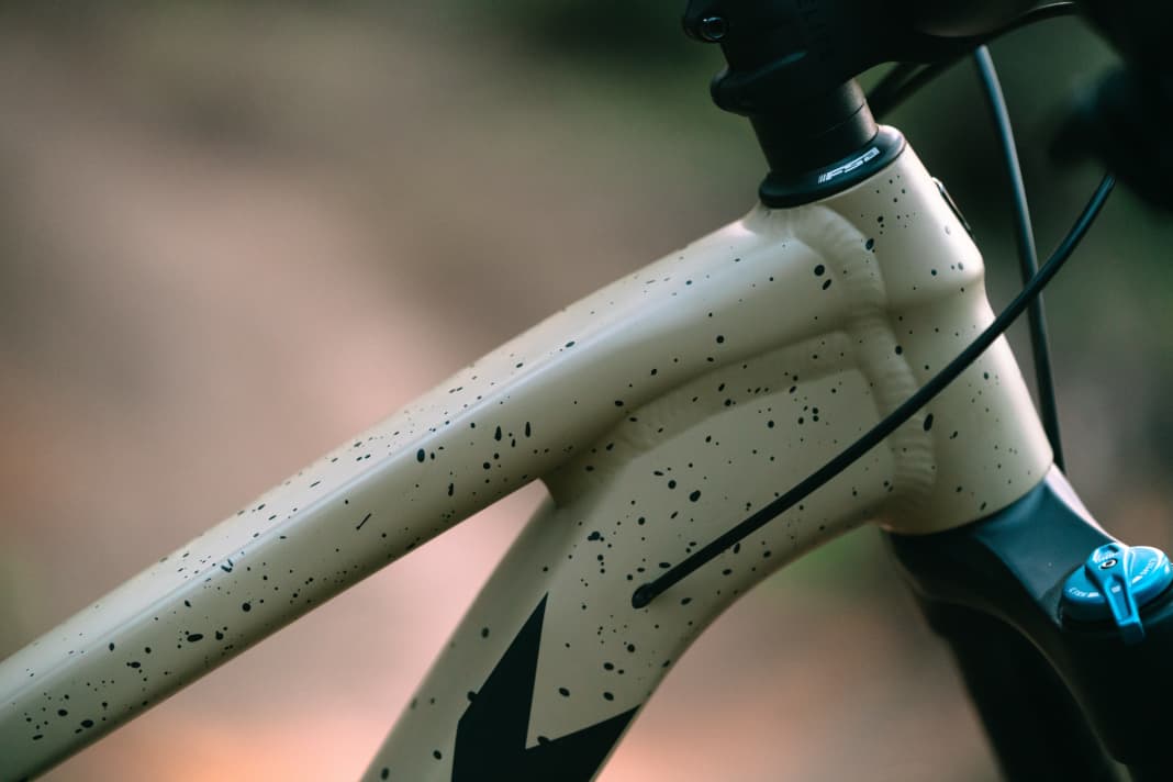 Atypical: The Roscoe comes without Trek's Knock Block headset.
