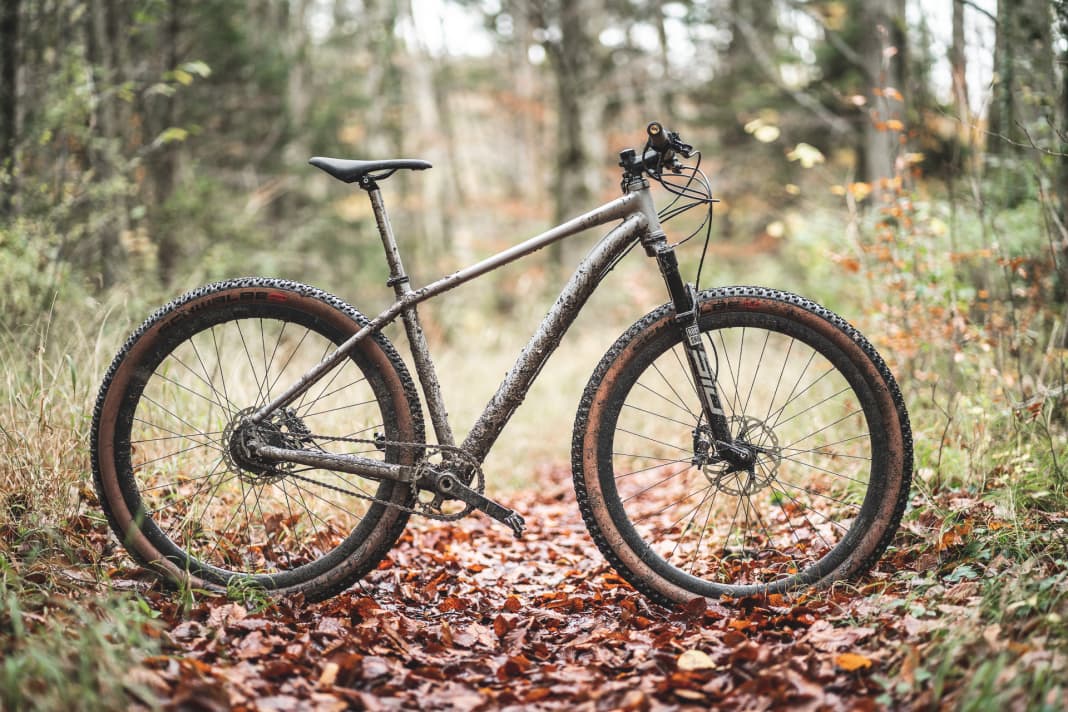Carefree hardtail for the winter: the Idworx Rapid Rohler. 