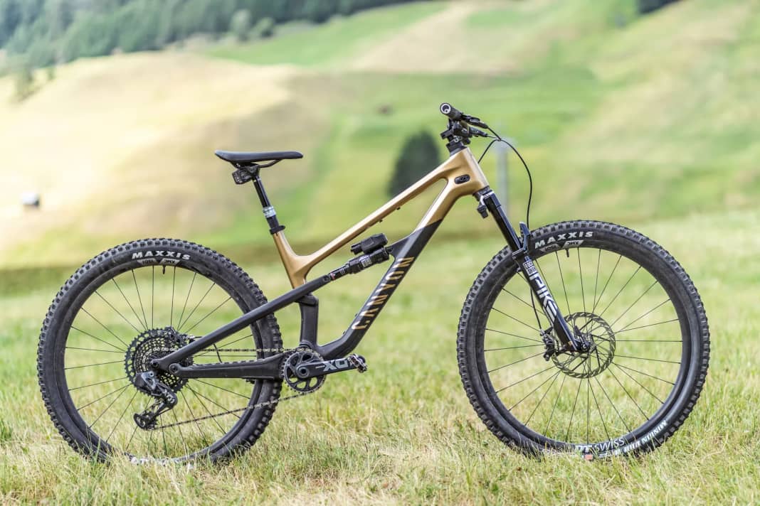 Canyon Spectral 125 CF LTD