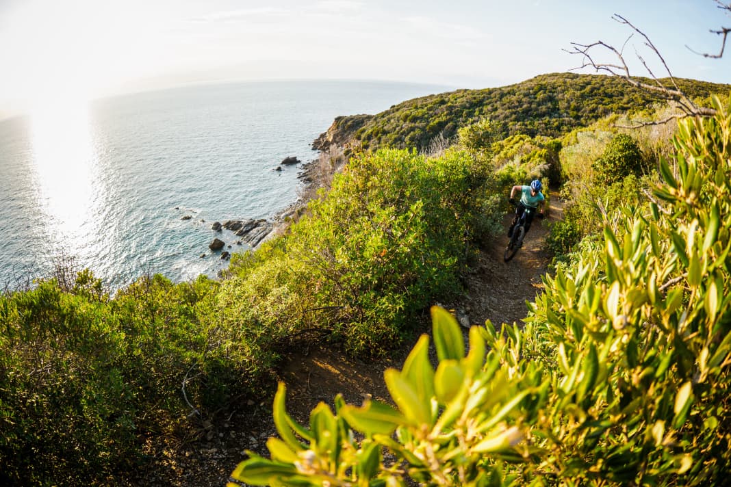 Most of the trails wind their way through the forest, but every now and then there is a view of the sea. 