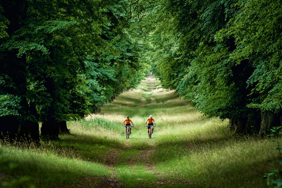 Durch diese prächtige Allee ruckelten einst Pferdefuhrwerke zum Wasserschloss Söder. Heute flanieren hier Mountainbiker durchs hohe Gras.