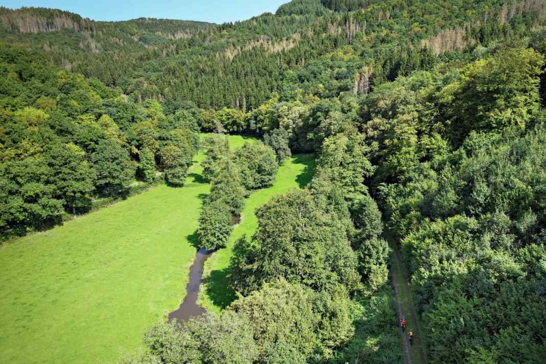 Luxembourg's Ardennes are lush green early in the year: the season here lasts from April to November.