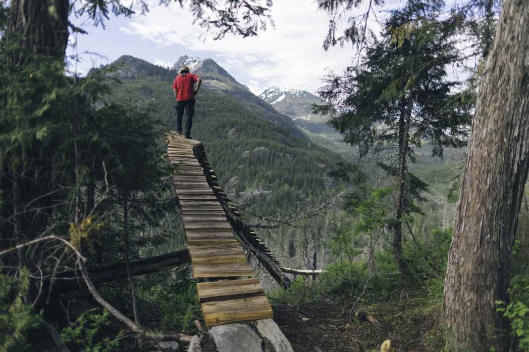 Sky ladder: "Only dead trees used".
