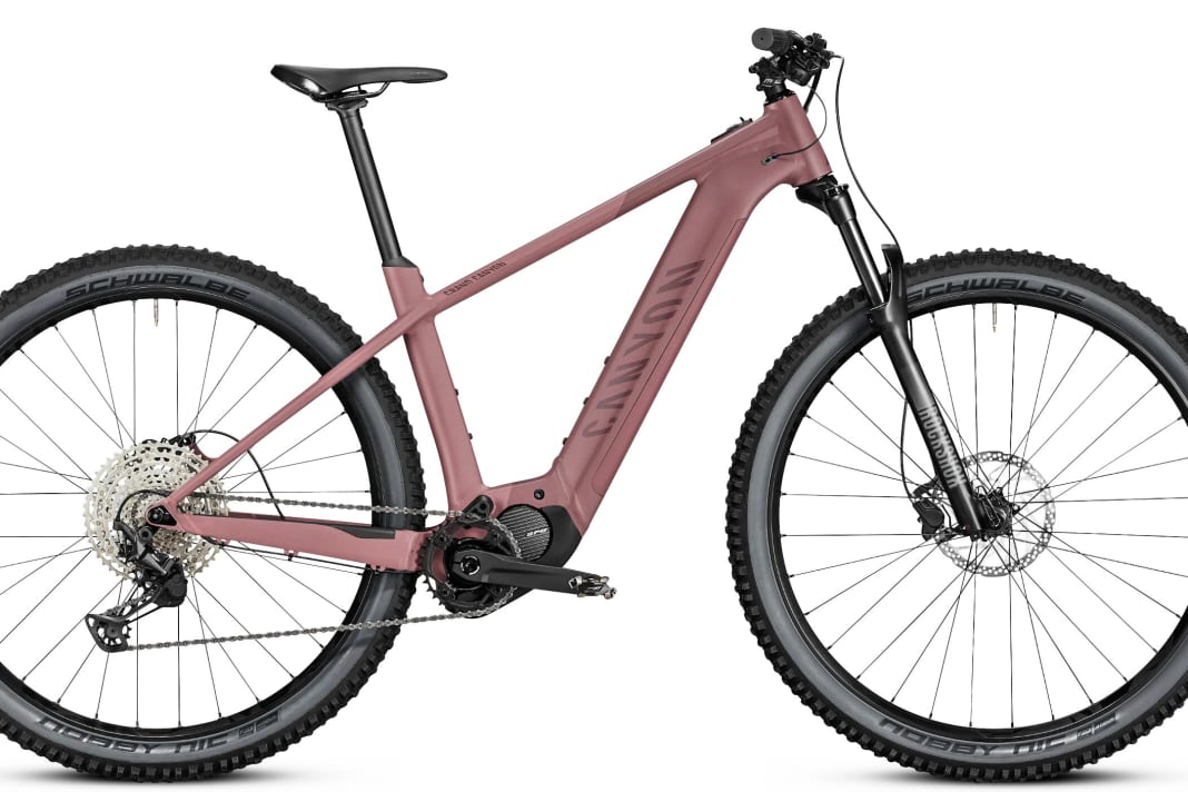 Hardtail category