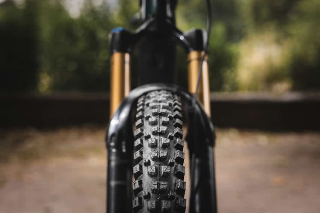 Protagonist: V-profile and curve whisperer - it shows all its precision at the front.