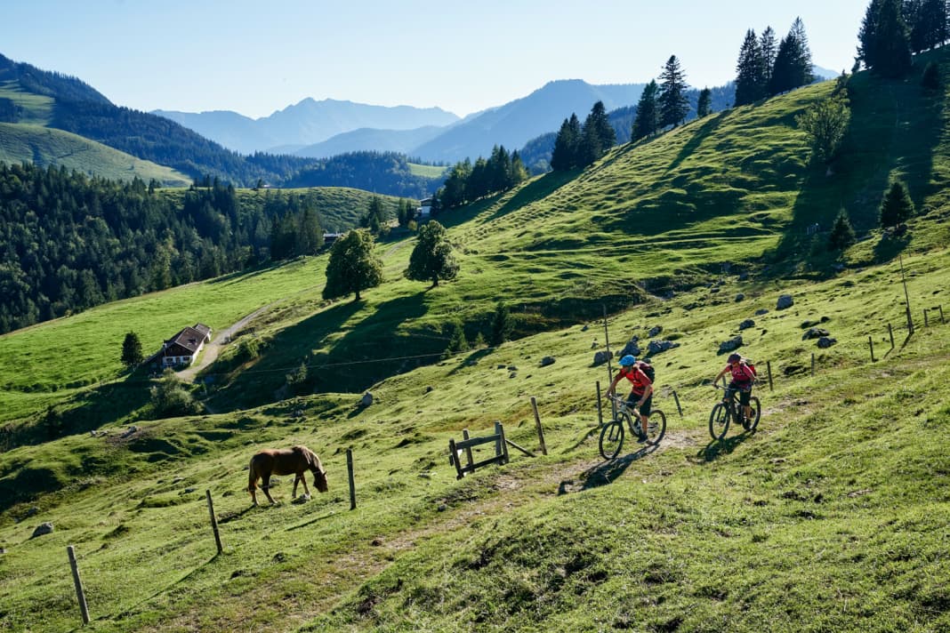 The "Transalp Dahoam" was actually born out of necessity when the borders to the south were closed.