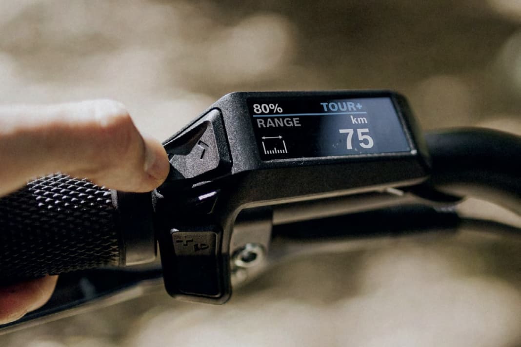 Like the LED remote, the Purion 200 display is wired, but its small colour display provides important basic information and also shows the battery status as a percentage.