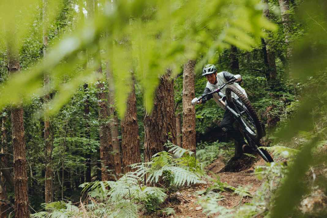 Mit der M8 darf es schon härter zur Sache gehen. E-Biker und Freerider sollen hier auf ihre Kosten kommen