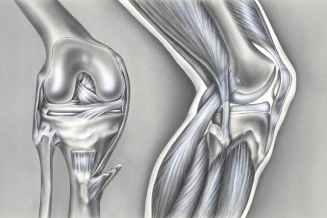 Kann ich mit einer Kniearthrose noch bedenkenlos Mountainbiken? Im Interview erklärt der Knie-Experte, worauf es ankommt.