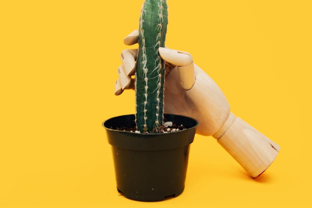 The genital area is particularly sensitive. The cause of numbness is usually poorly distributed pressure.