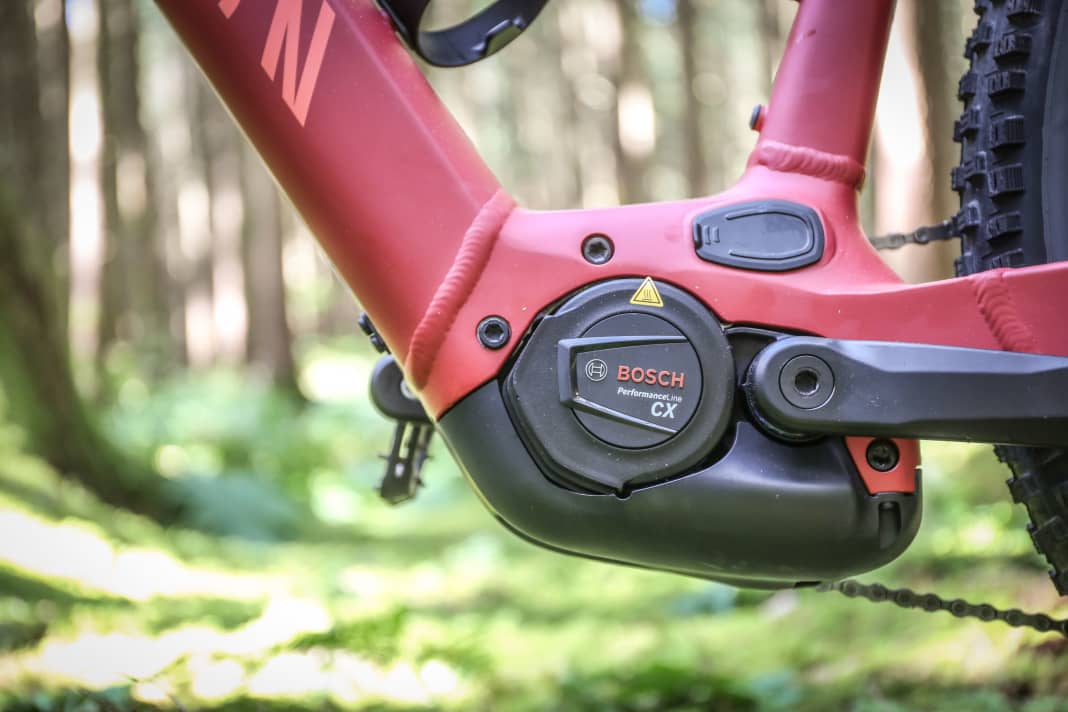 Platzhirsch: Der Bosch Performance CX überzeugt mit Power, Dynamik und Modulation.