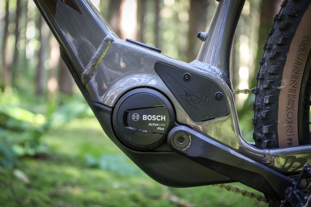 Schick im Tretlagerbereich integriert. Der Bosch Active Line Plus ist mit 50 Newtonmeter maximalem Drehmoment etwas schwach auf der Brust, gefällt aber durch seine sanfte Kraftübertragung und den dezenten Sound.