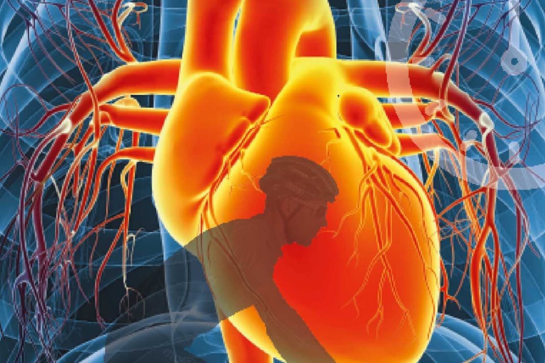 Regular cardio checks are also important for hobby bikers.