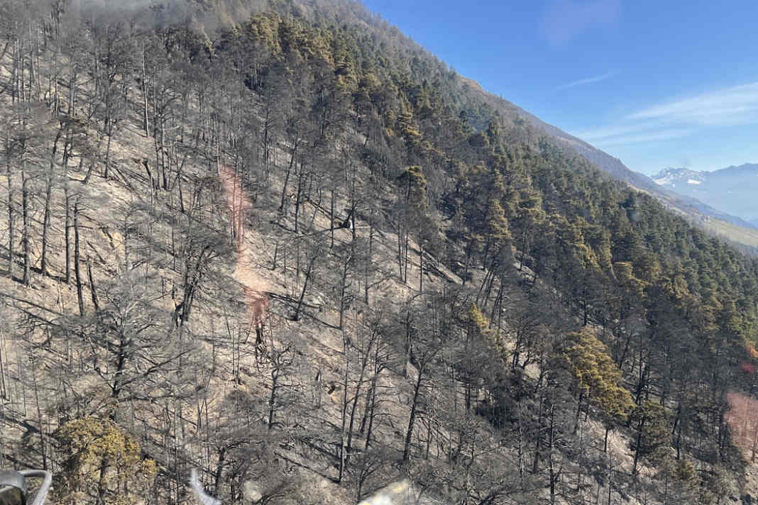 Unfortunately, the upper part of the Monte Sole Trail (trail no. 9) was hit harder. All other trails are accessible again by cable car.