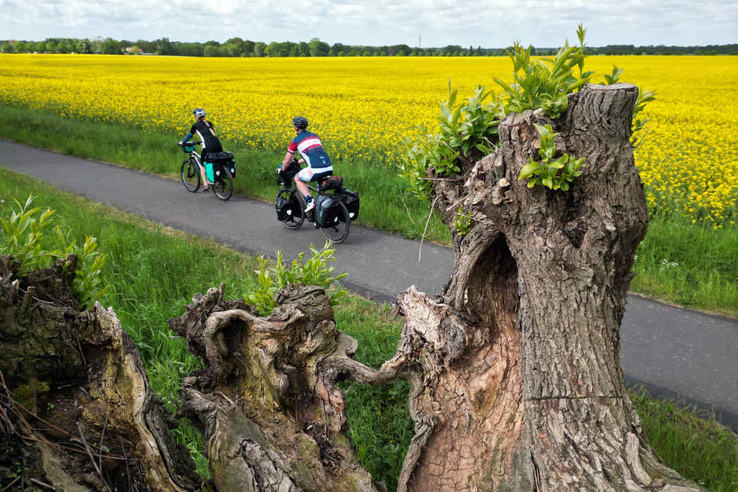 Pure nature, plenty of peace and quiet, little traffic. The Fontane cycle route in the Ruppiner Seenland leads through glowing rapeseed fields.
