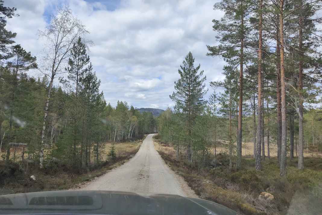 Mountain biking in Norway: That was my goal and the Canvas Camp of the manufacturer Norrona, where I was able to spend a weekend.