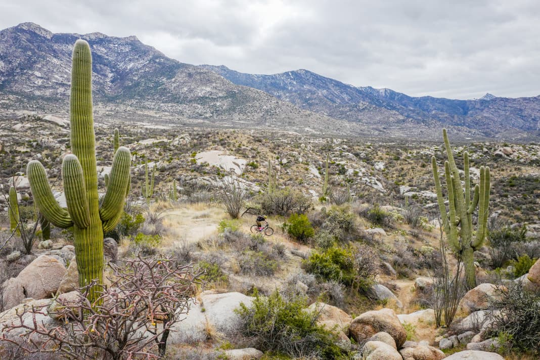 Freier Blick und feinste Trails: Tucson ist ein Traum-Revier für Mountainbiker.