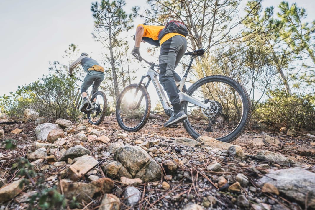Das Forestal Cyon Halo fährt im Test vorne mit.
