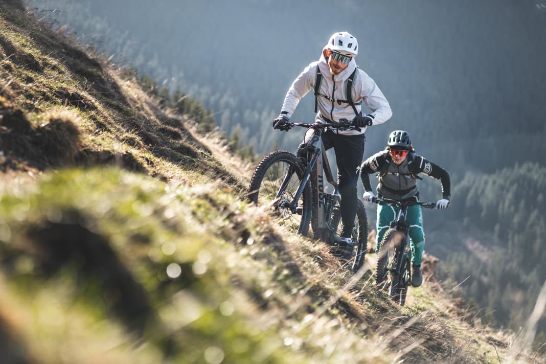 Rose Root Miller 1+ on test: light and lively