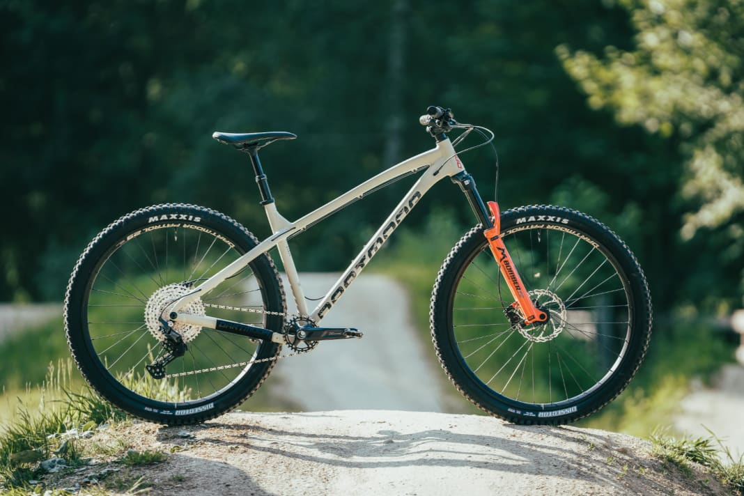 Dartmoor primal pro 29 top