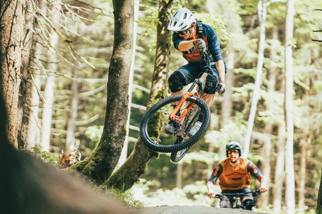 Purists swear by them, but can the hardtail MTBs with fixed rear for a maximum of €1999 also convince as all-rounders for beginners?