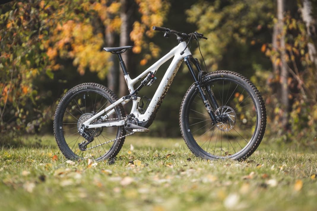 Specialized Levo SL Expert // 160/150 mm // 29/27.5 inches // 18.2 kg // 9900 euros