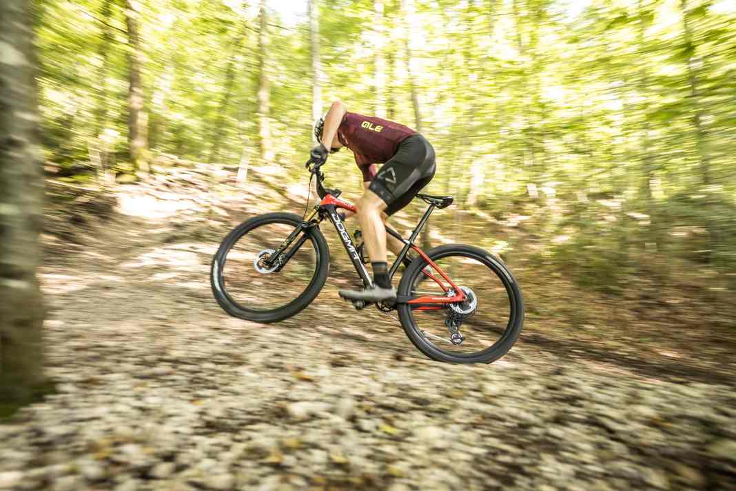 Bei Olympia 2024 war das Pinarello Dogma XC das schnellste Hardtail der Welt. Werden auch Racer der niedrigeren Ligen mit dem italienischen Renner glücklich?